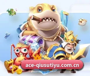 球速体育围绕看球场景设计的核心服务 - 多运动项目内容板块